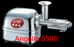 Angelia 5500